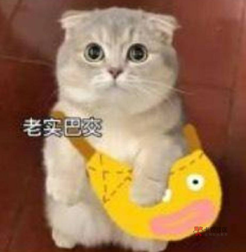 本来日子不好过，疫情又加重。眼看要过年了却两袖清风。每次路过银行门口，我越看越觉65 / 作者:躺好了 / 