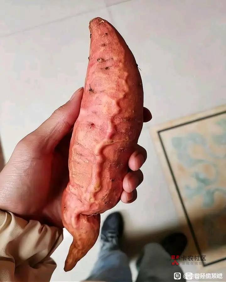 12月1号,撸毛瘾发作最严重的一次,躺在床上,拼命念大悲咒,难受的一直抓自己眼睛,23 / 作者:规划局副局长 / 12月1号,撸毛瘾发作最严重的一次,躺在床上,拼命念大悲咒,难受的一直抓自己眼睛,23 / 作者:规划局副局长 /