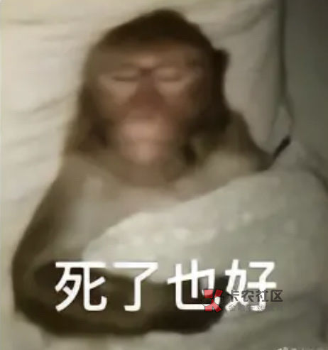 兄弟们吃完辣条一定要洗手，玛德，刚刚吃完辣条沾了点辣油在手上没注意，刚刚老二痒摸85 / 作者:泡不到马子的可怜虫 / 