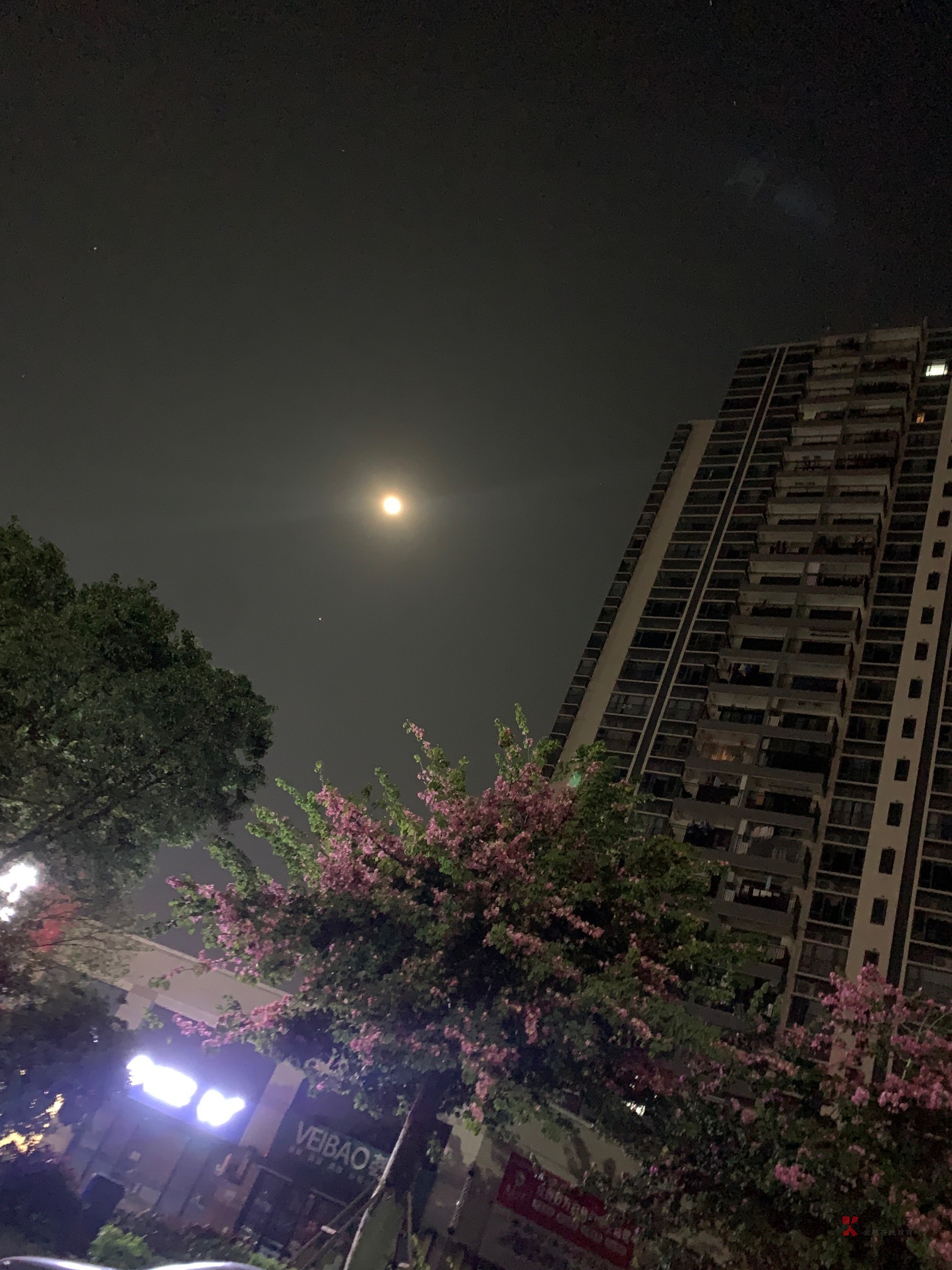 举头望明月 低头思故乡，又是一年到头，异乡的天格外冷

89 / 作者:肖晓鸣 / 