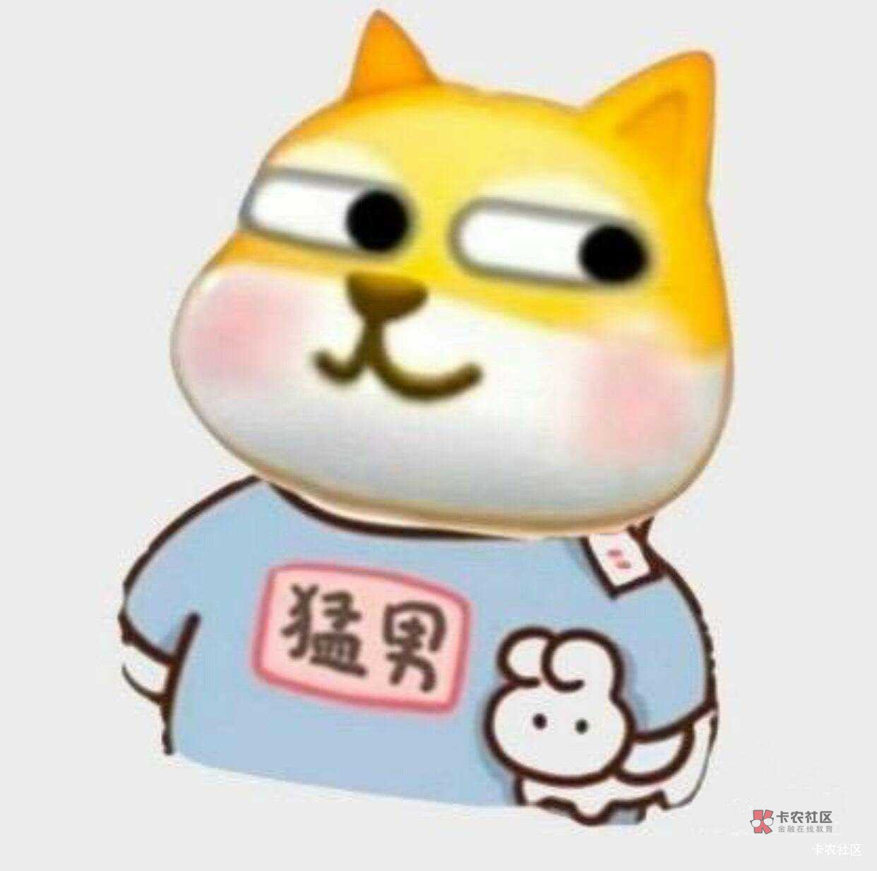 研究娇娇小程序居然把广东小豆预约给忘了本想着卡9点50多预约，真是偷鸡不成蚀把米

38 / 作者:卡农豆包 / 