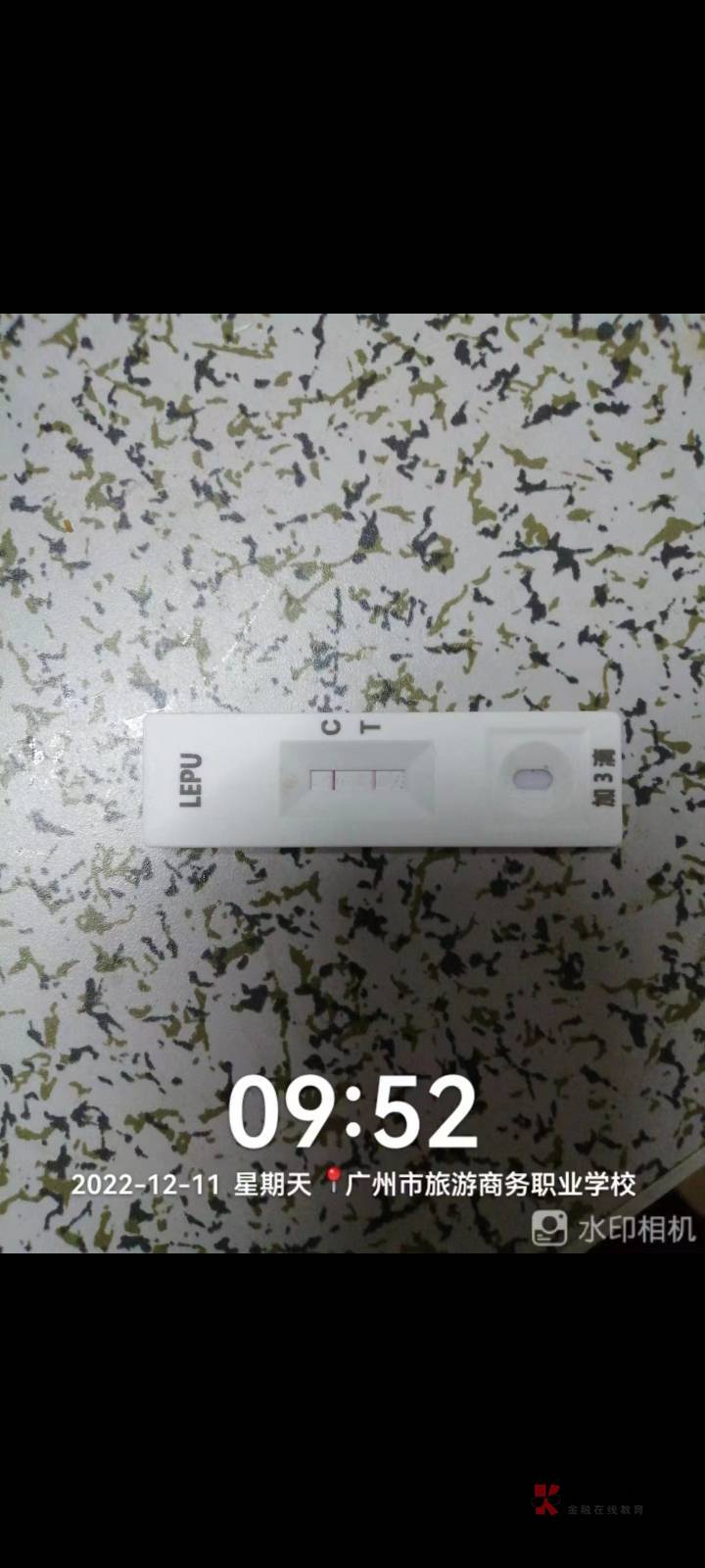 有没有老哥阳了，没钱吃饭没钱看病。老哥们有毛了带带我！

0 / 作者:浪子向阳 / 
