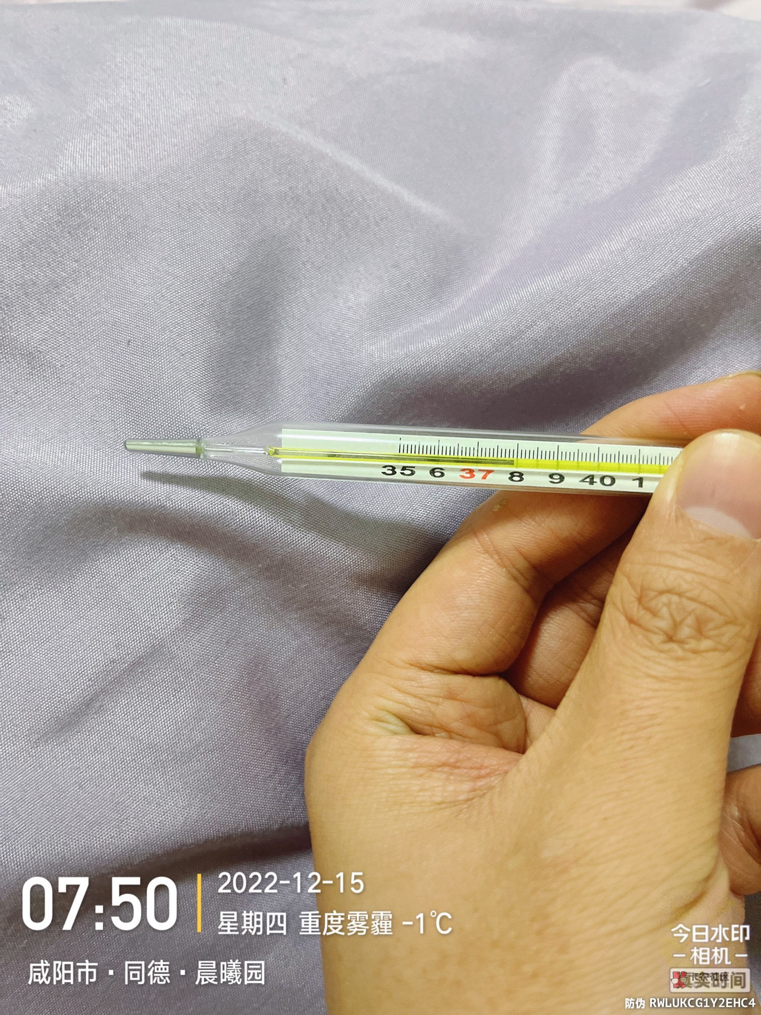 小阳人第二天

89 / 作者:一粒硬 / 