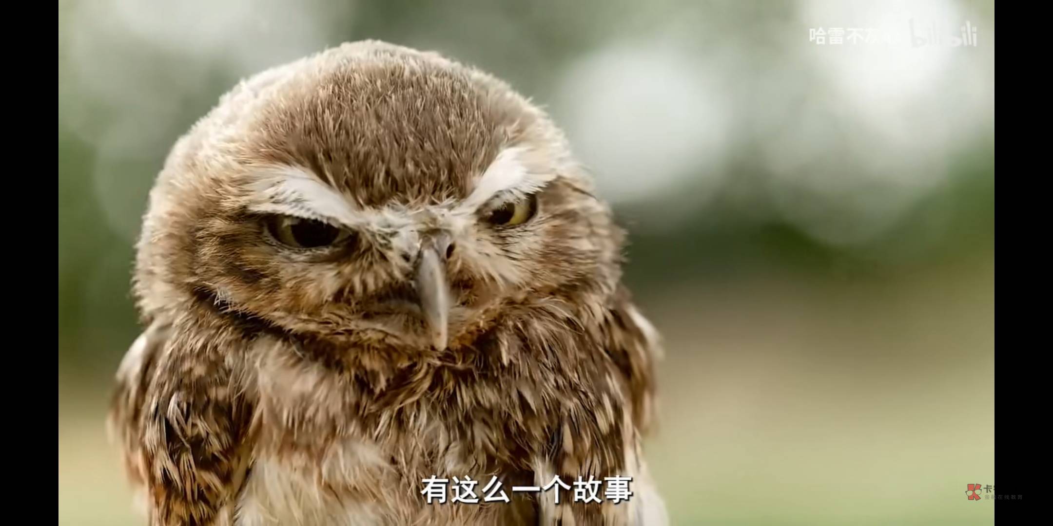 看到老哥们被骗，我突然陷入了沉思，老哥们你们说，一个人要隐藏多少秘密才能巧妙的度56 / 作者:基基肯压基 / 