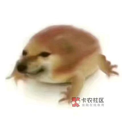 阳了的老哥们，你们会腰疼吗？我下午开始腰有点疼，喉咙干干的，老是擤鼻涕，但是压根99 / 作者:执笔画江山 / 