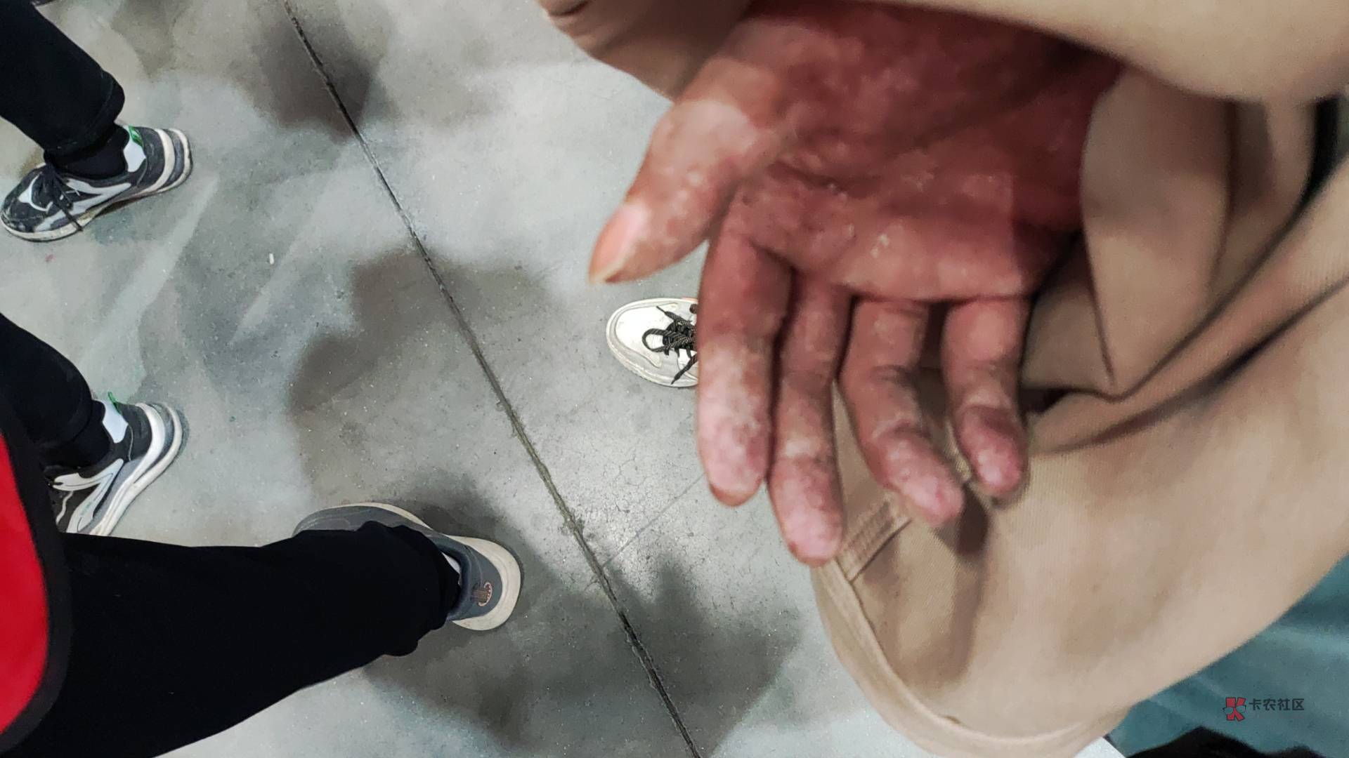 老哥们，凌晨老农低保的话飞一圈能撸多少啊

59 / 作者:黑狗～ / 