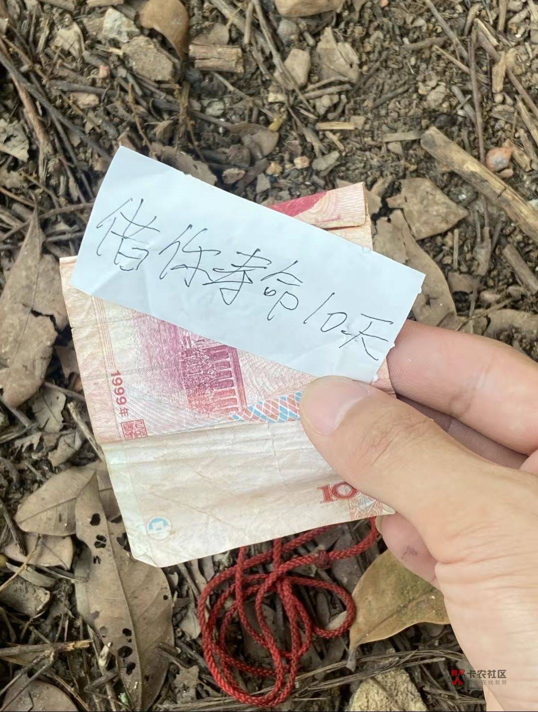 邮储支付宝立减金通用10，7出，一户只能领一张，青岛活动，玩过W视邮储支付宝立减金通51 / 作者:偷了酒 / 