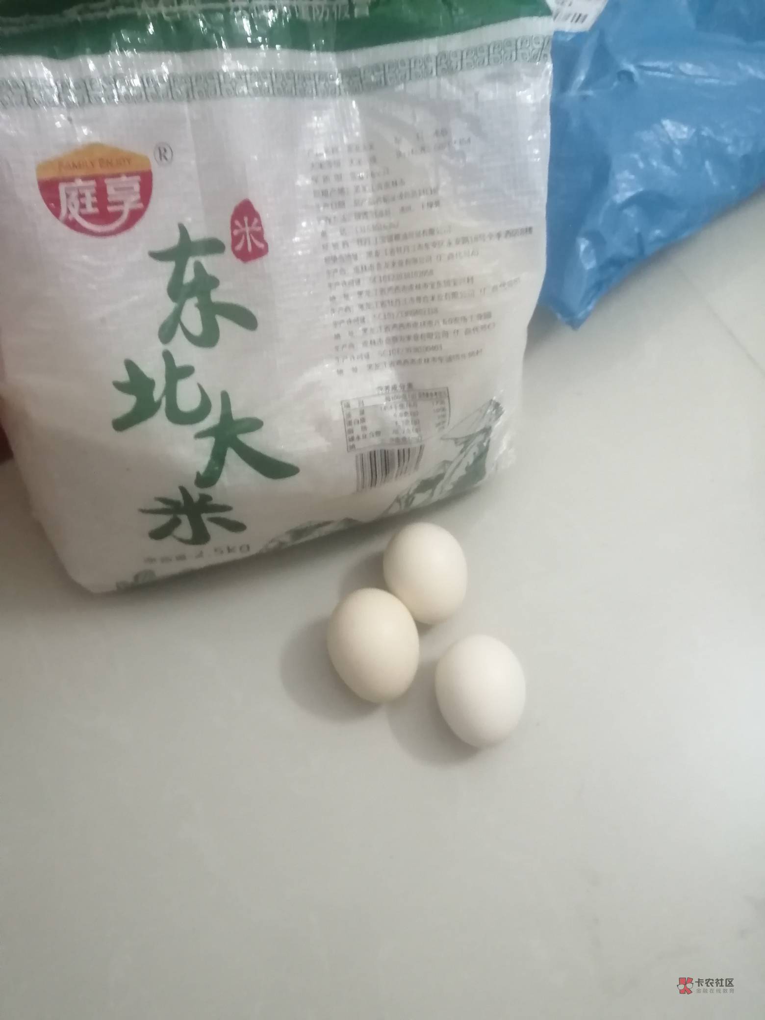 半夜好饿啊，不想吃泡面，想吃蛋炒饭，难受家里人还以为我上班了，这一天天的在出租房19 / 作者:月满西 / 