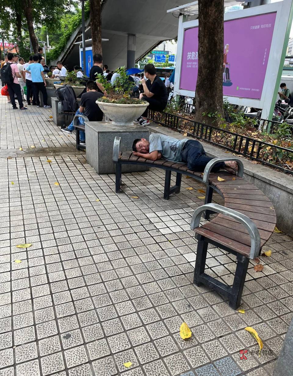 受不了了，这么热的天，没地方去没钱，日结也没有，管吃住的黑中介今年也给干倒闭一大79 / 作者:卡农第一深情。 / 