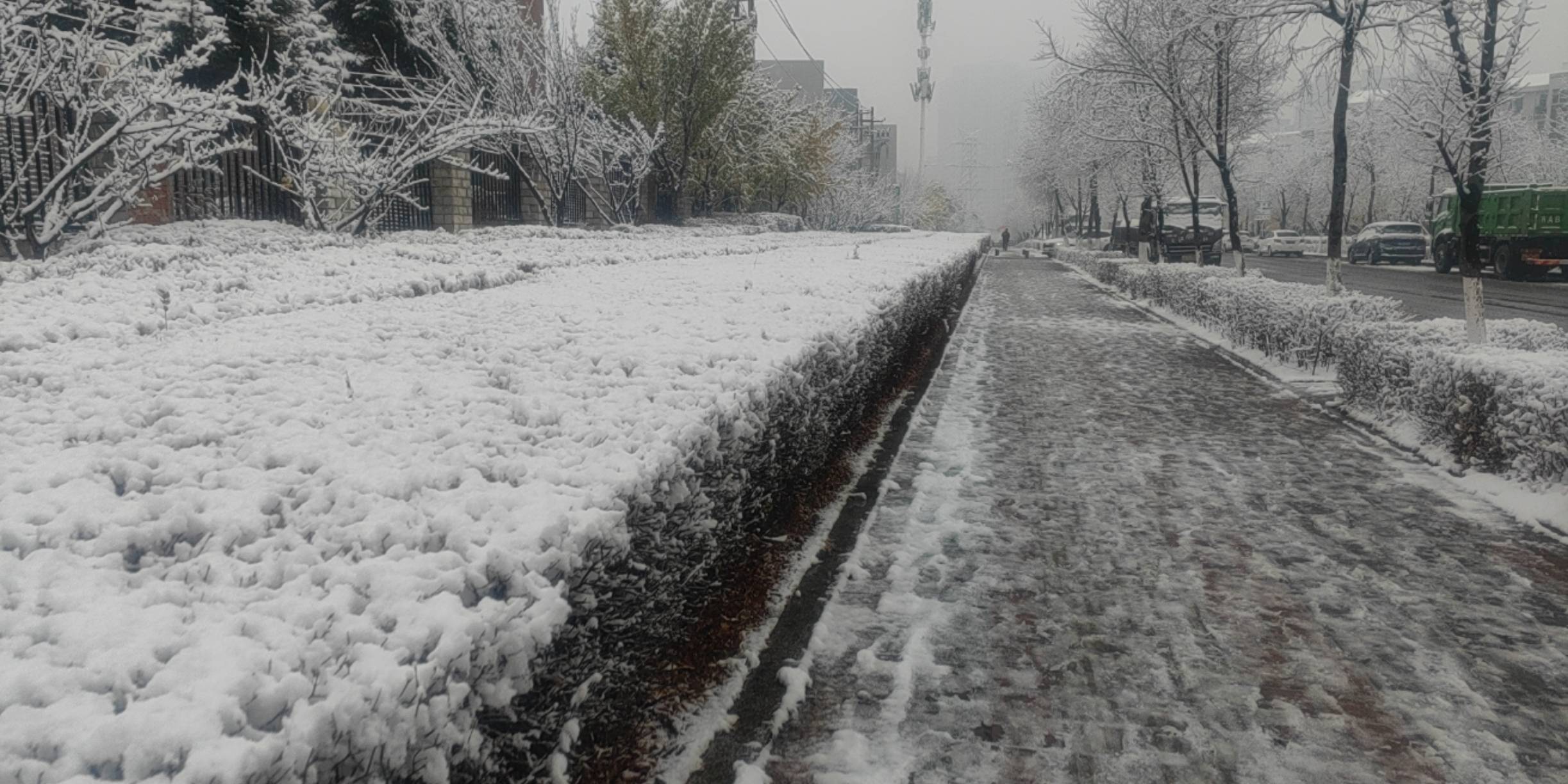 真特么可真是大毛，太大了

78 / 作者:哈哈号有 / 