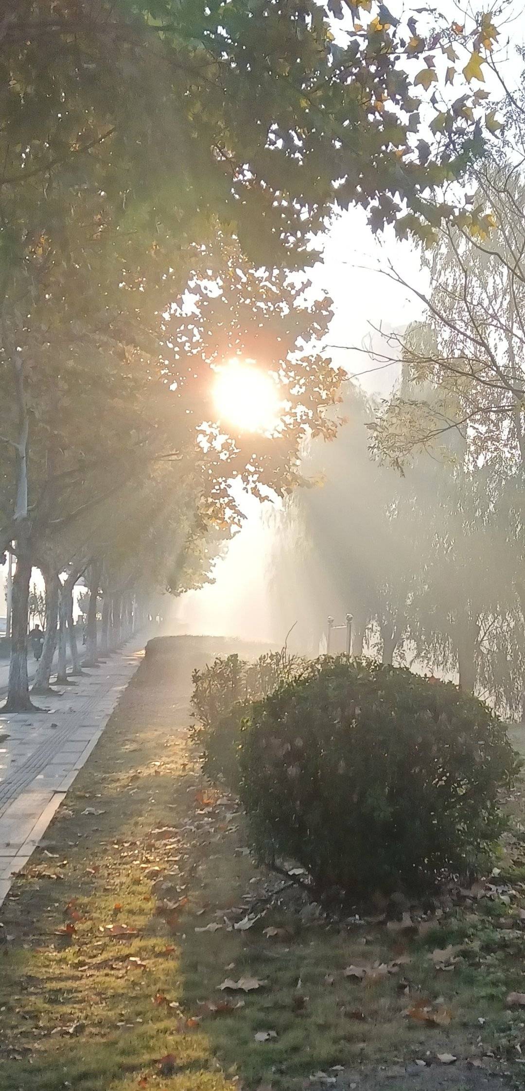 星妈都别炫耀了，刚打客服电话了，客服说亏了几个亿，已经连夜进行快递拦截，啥都没了48 / 作者:无敌鲁班 / 