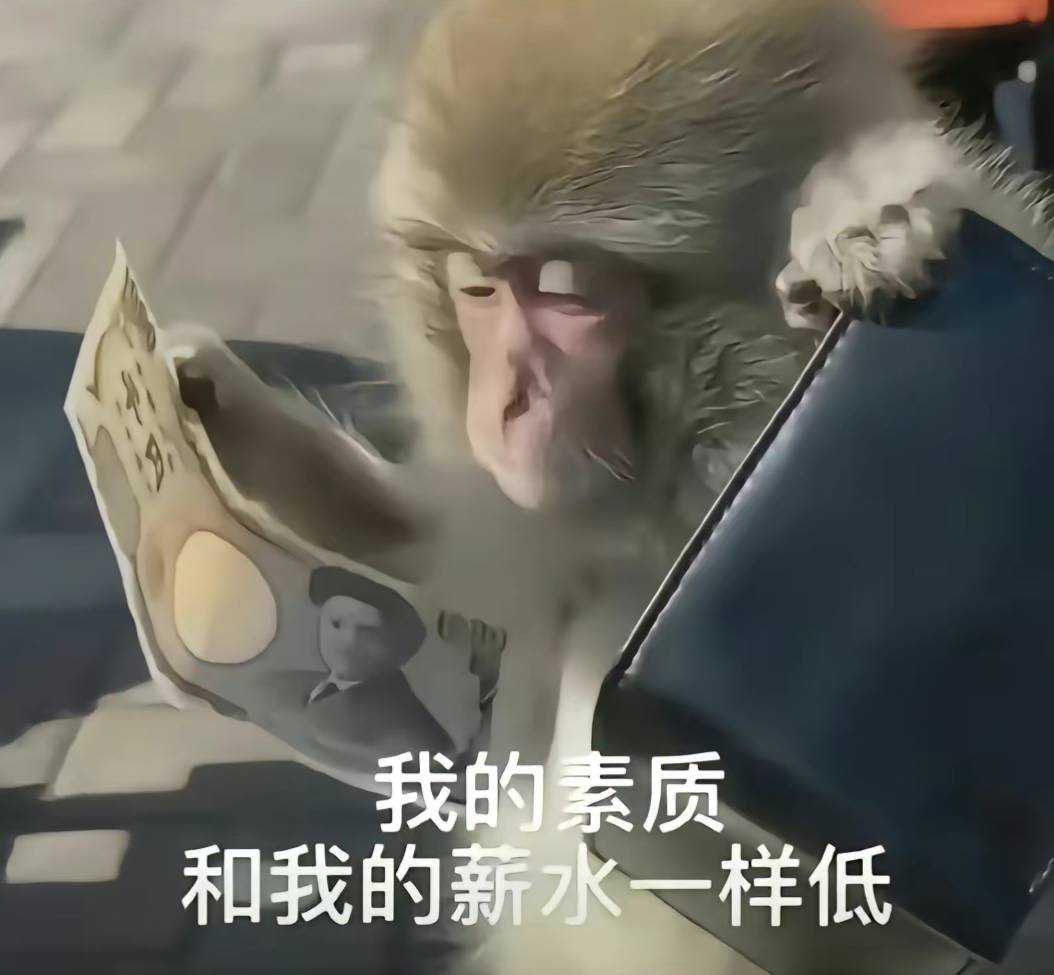 180出200联通，有老哥要的不



56 / 作者:卖女孩的火柴哥 / 