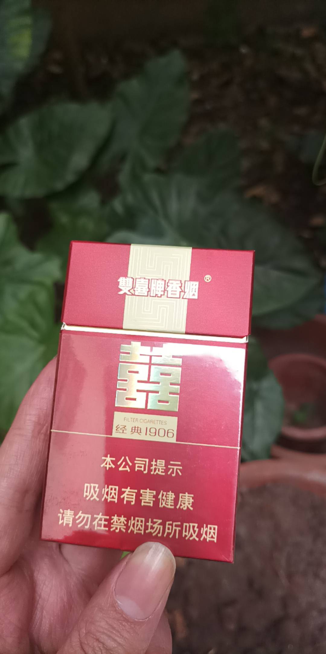 18毛

我们这禁止卖红南京,硬经典双喜,软白塔