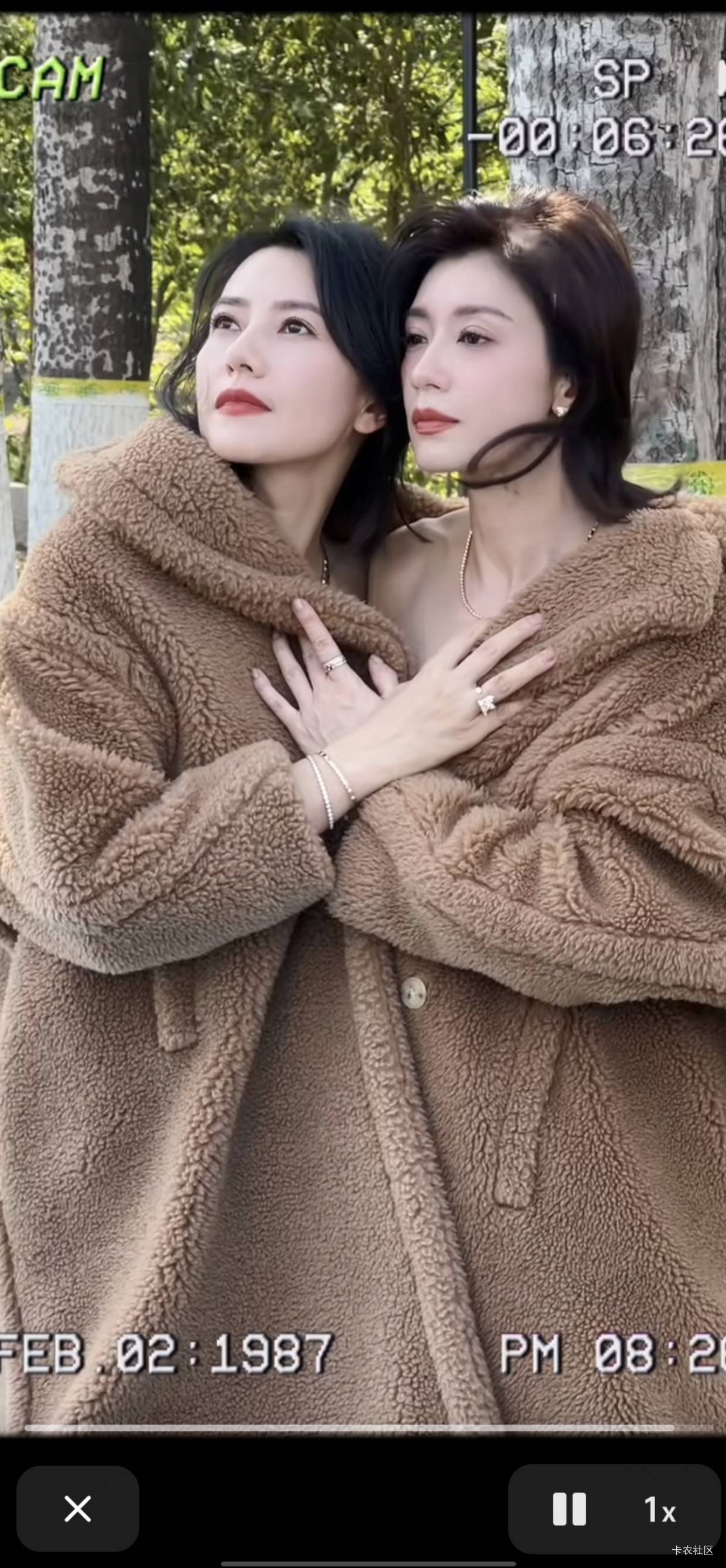 太喜欢这俩老A8了，少活几年都行


54 / 作者:卡农咚咚 / 