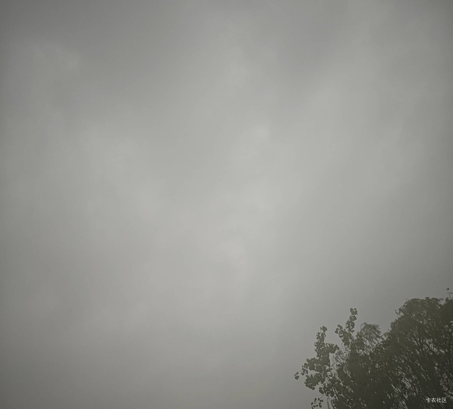 天气开始变了，大风要来了，瘫痪公园，也没啥遮挡物

8 / 作者:卡农咚咚 / 