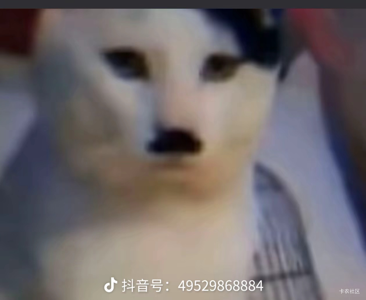 狗催玩新T路了不会在爆通讯员之内的人了，.现在胆大爆周围的？

96 / 作者:极速微：Mnkncr / 