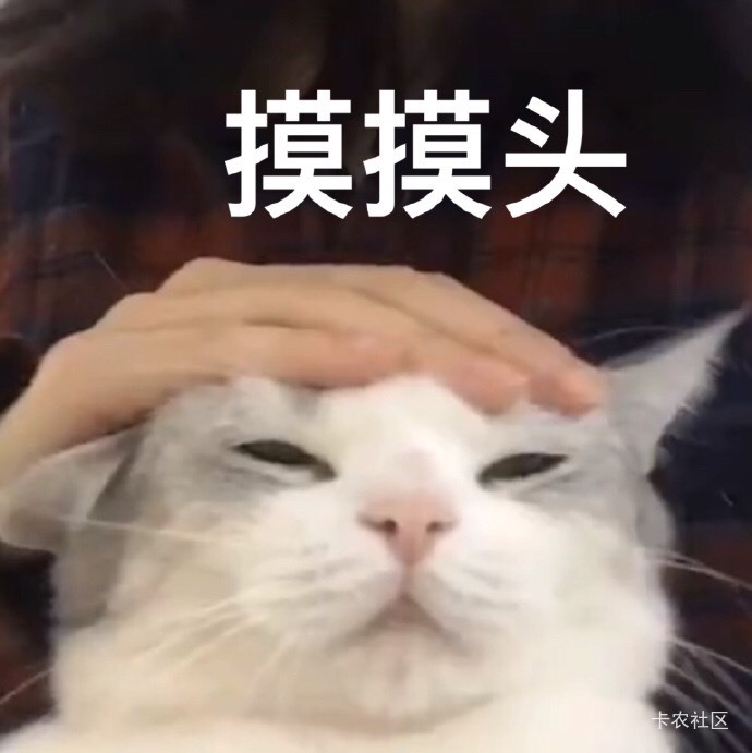 我就是纱杯，眼睛也瞎，惠省钱买成信用卡红包了，反申请8毛，简单的羊毛都玩不明白，2 / 作者:小酒不醉 / 