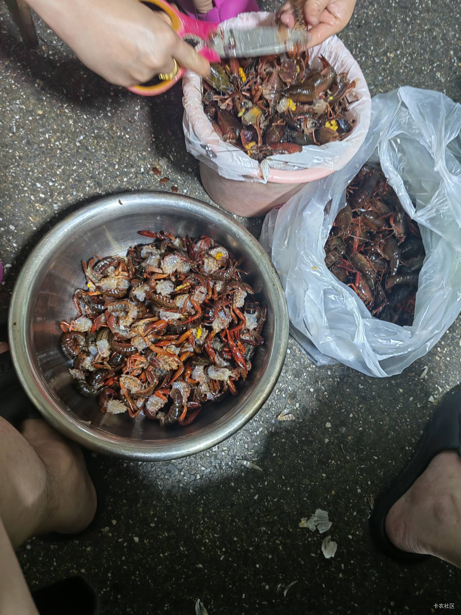 小龙虾自由的一天

37 / 作者:miaiai / 