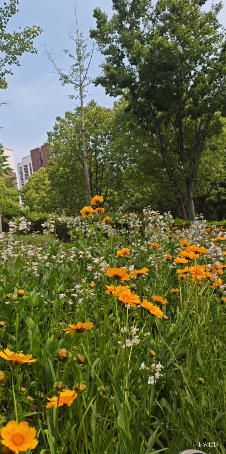 躺下啦

8 / 作者:露西亚的鱼 / 