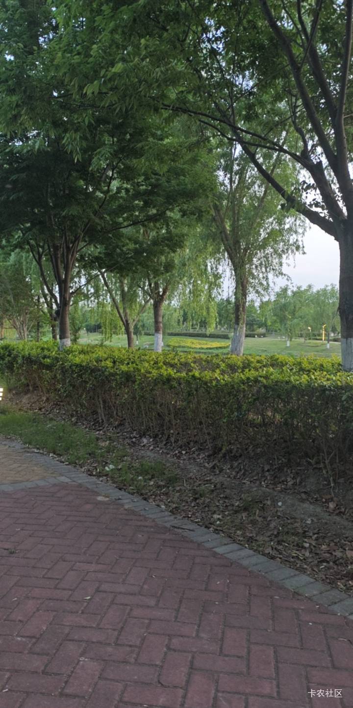 天黑了怎么办，周边没有商场没有网吧，



72 / 作者:露西亚的鱼 / 