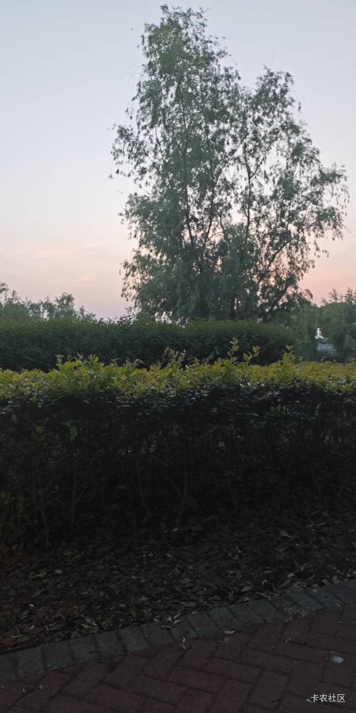 天黑了怎么办，周边没有商场没有网吧，



60 / 作者:露西亚的鱼 / 
