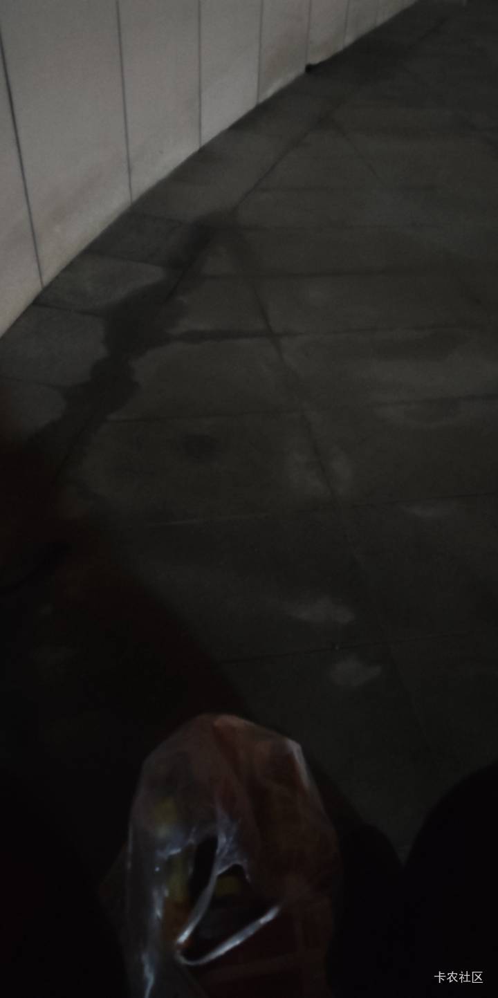 刚才一个小胖哥给我送外面裤子都破了穿的拖鞋，衣服看着有一点脏，上海这边送外面的小55 / 作者:露西亚的鱼 / 