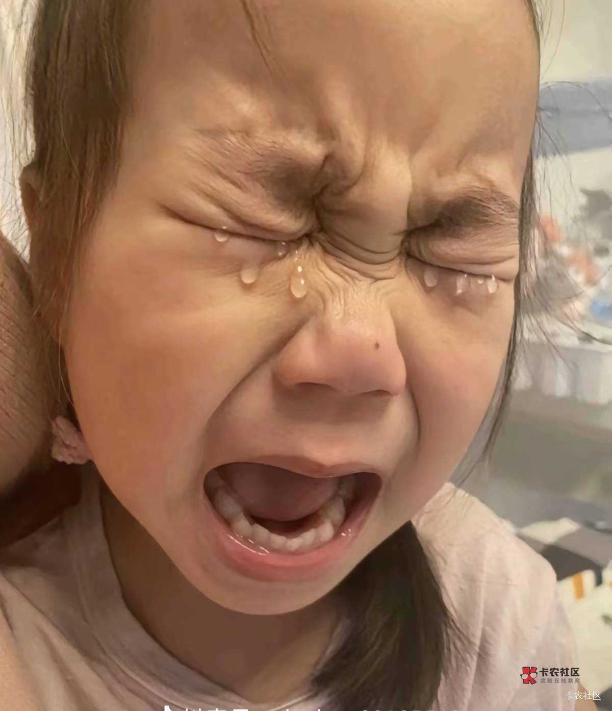 五一领的美团团购券，吃塔斯汀一个早上到现在喷了八次了

57 / 作者:一纸渡桥 / 