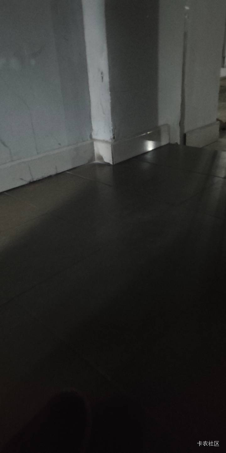 没钱到哪里都会挂壁睡公园，上海住不起房，在嘉兴也是住不起房，睡

67 / 作者:露西亚的鱼 / 