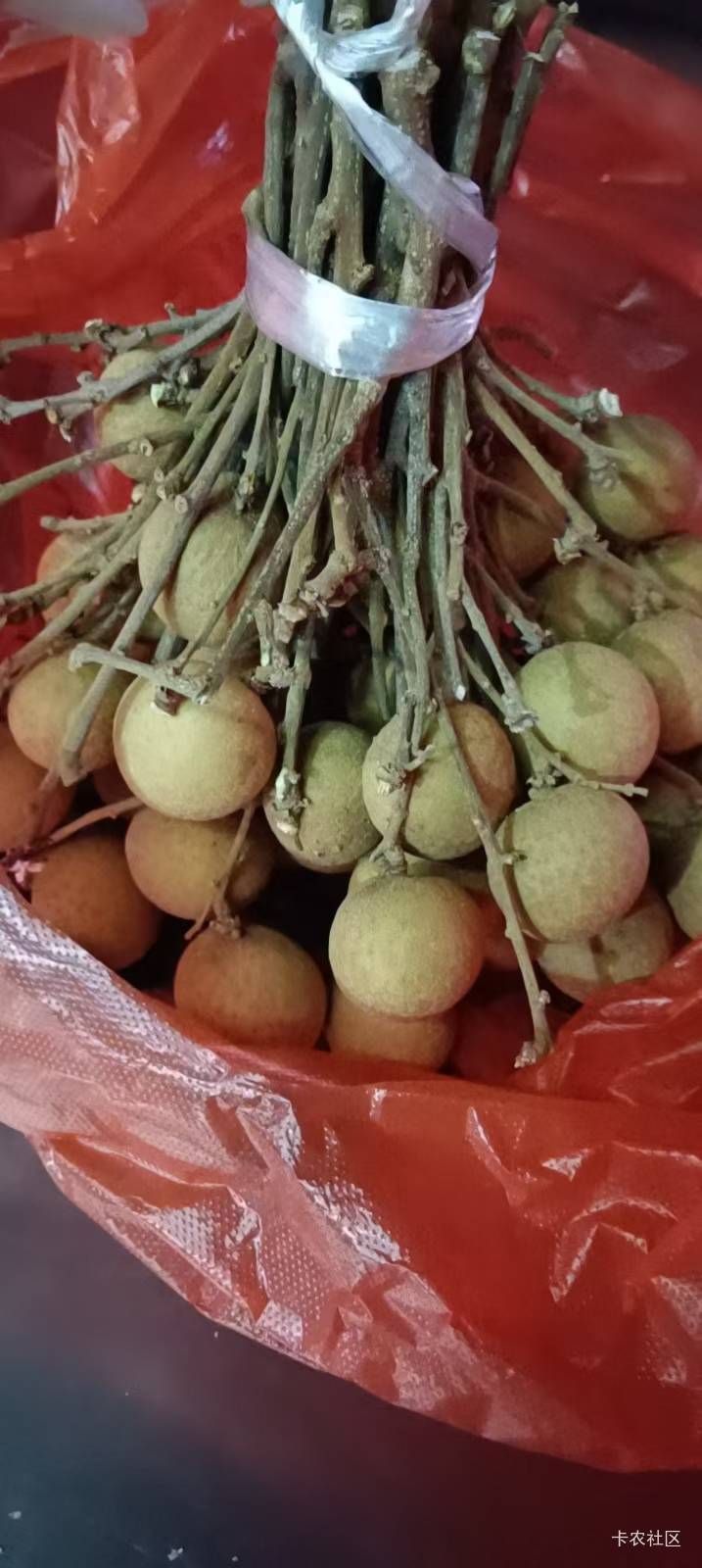 龙眼好贵，就这点都要16块

37 / 作者:扛不住了老哥们 / 