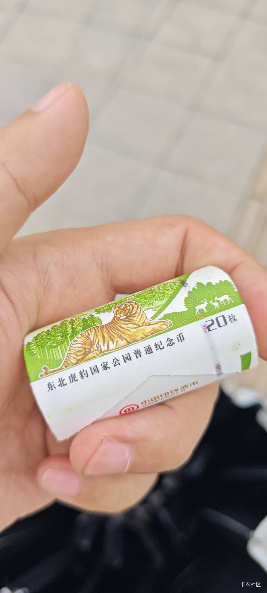 来老农一趟就拿了这么个东西47 / 作者:卡农豆包 / 