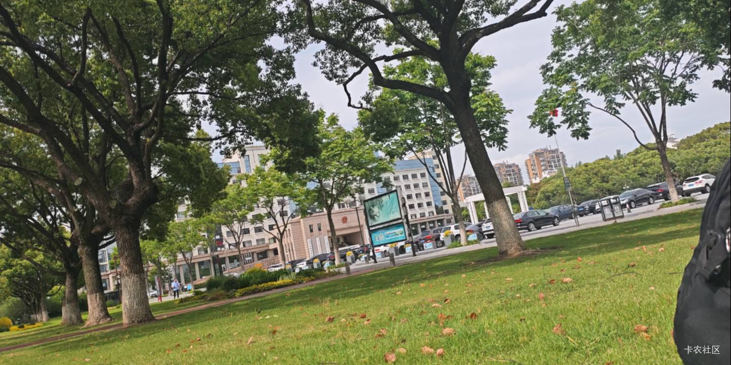 躺市政府门口37 / 作者:露西亚的鱼 / 