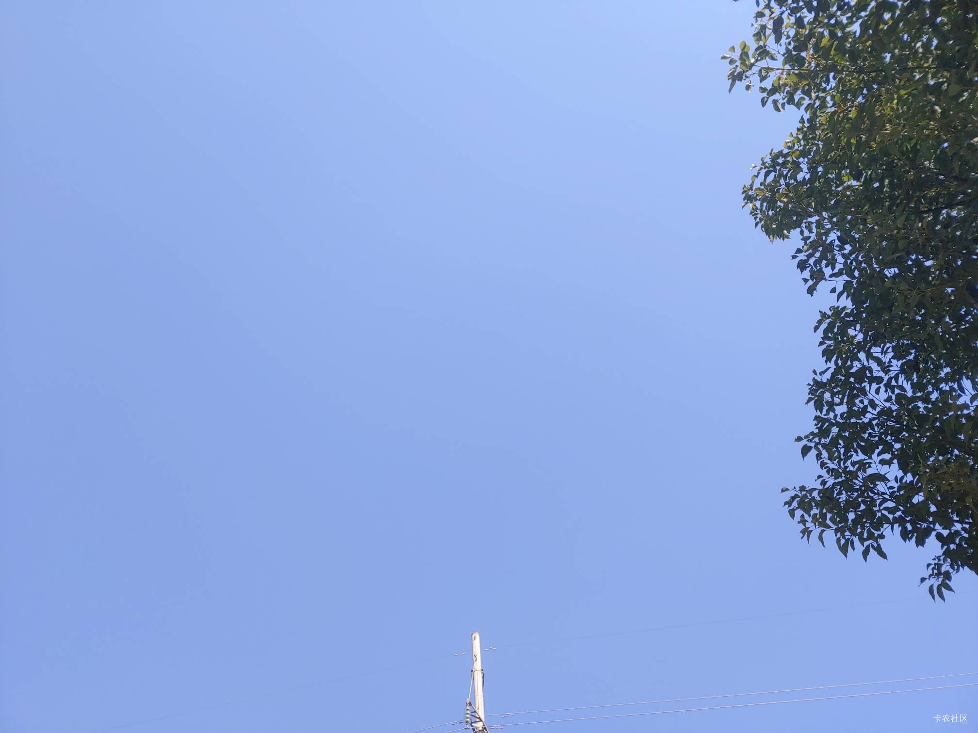 江苏工会 100 有人收没，我买过 110 的蛋糕卡了

40 / 作者:来瓶大乌苏 / 