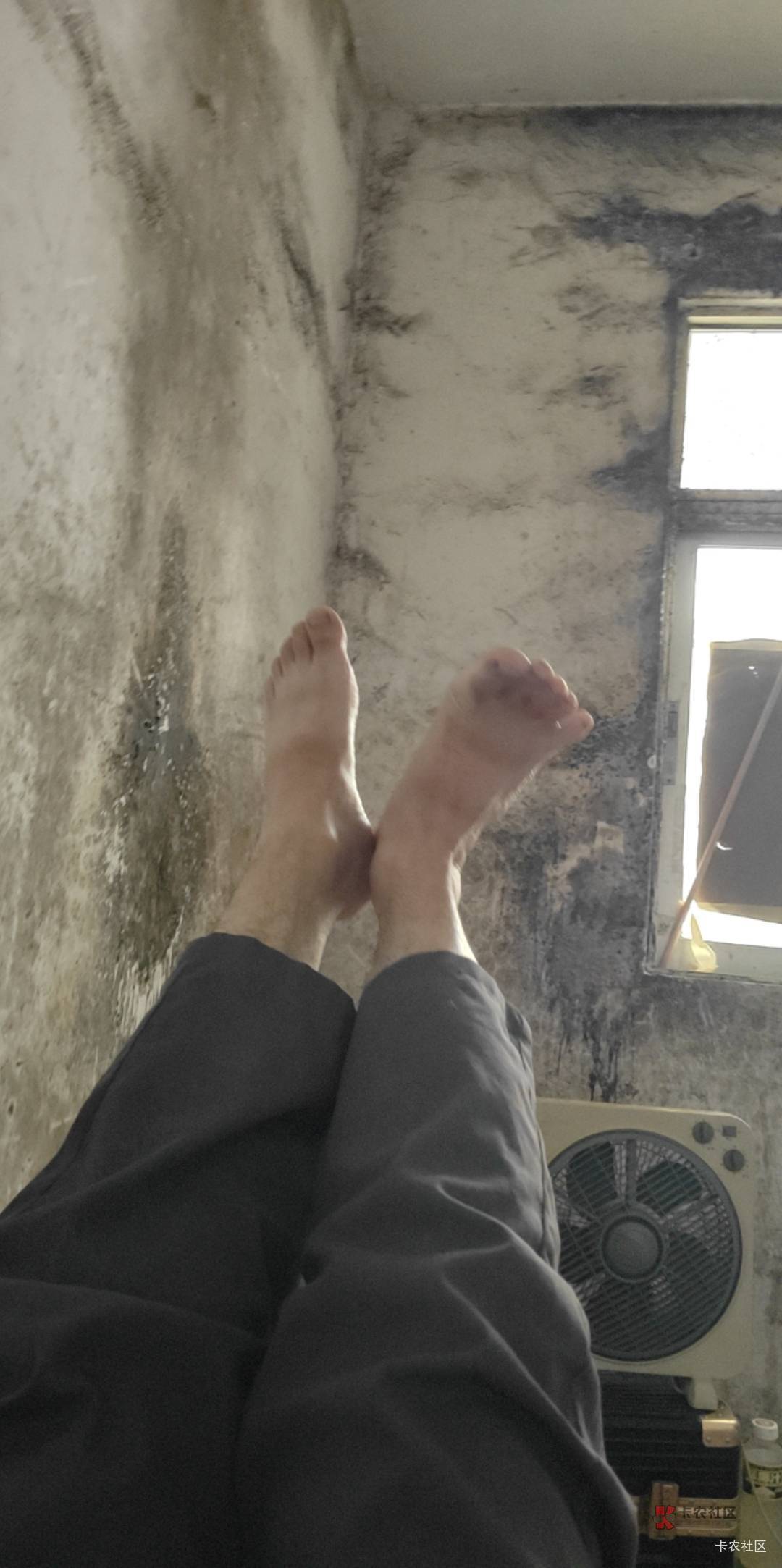 你们全的女神大D晴还在卡农吗？
是不是涛涛，文迪？

16 / 作者:朱铁胆 / 