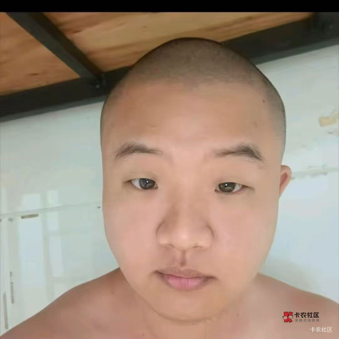 以前我没的选，现在我只想做个好人

5 / 作者:朱铁胆 / 