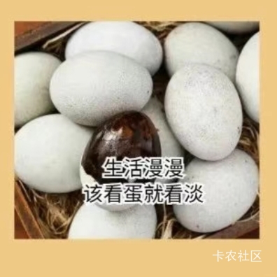 成都挂壁了，有老哥救救我，愿意奉上第1次
48 / 作者:柳下行 / 