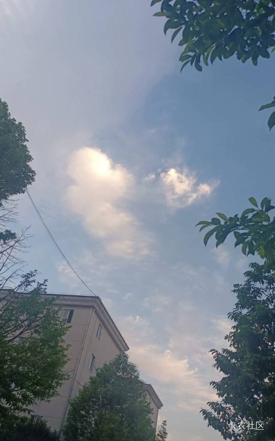 刚办了三个和多号，四个沃小号，两个阿里小号，老哥们羊毛在哪里

78 / 作者:枫霜降 / 