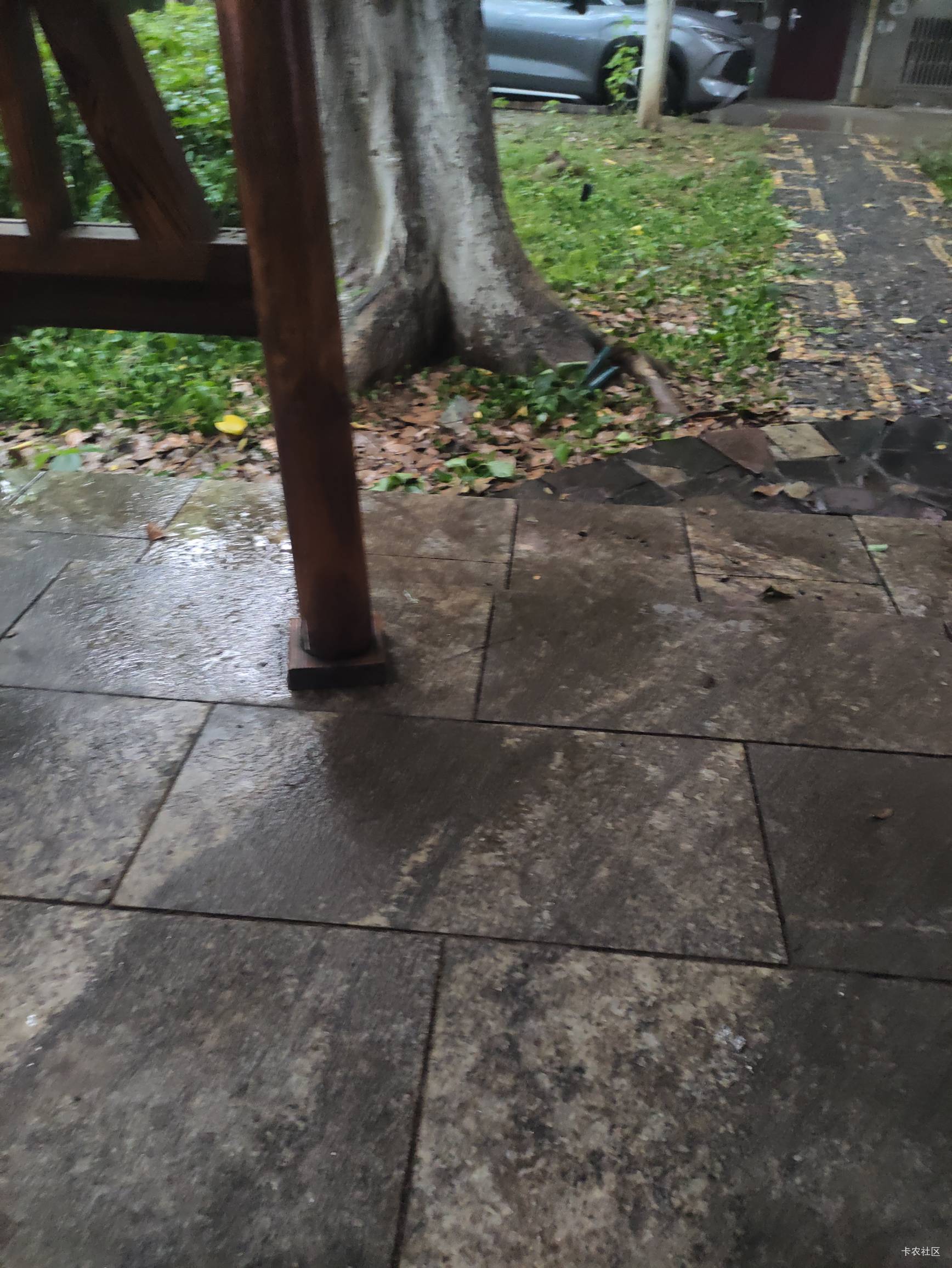 挂壁了 来毛啊 肚肚打雷啦

24 / 作者:来瓶大乌苏 / 