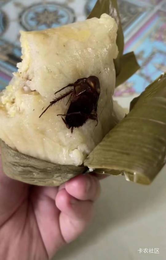 粽子有红枣？

62 / 作者:厚重001 / 