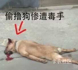 老哥们我在执一数藏至少赚了1K起步，新人老人都赚钱。


92 / 作者:路人C / 