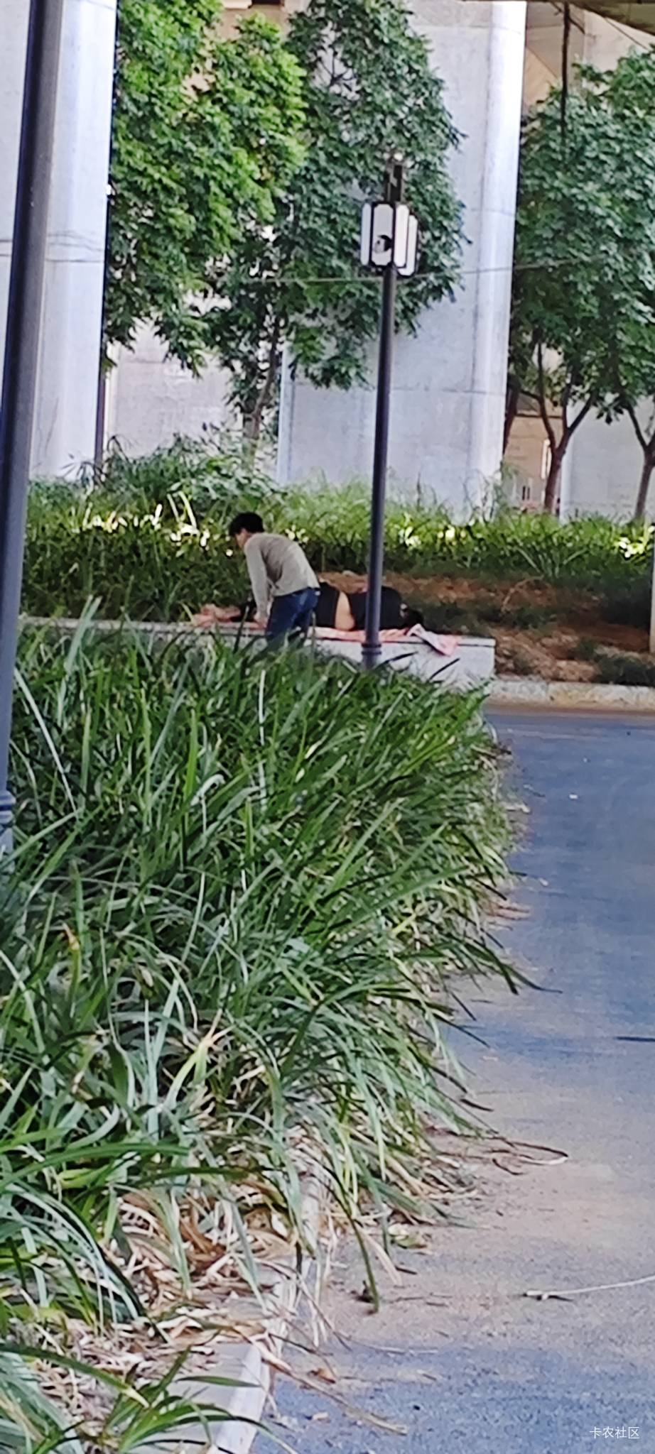 这个挂壁崽在偷别人东西，恰好被我给拍到了！在外面睡觉的老哥要小心了

51 / 作者:卡农豆包 / 