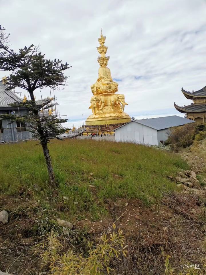 什么，你是说前几天by你一家5口上了5个号申请了新币到手5w，然后又注册了5户ob，恰巧79 / 作者:枫霜降 / 