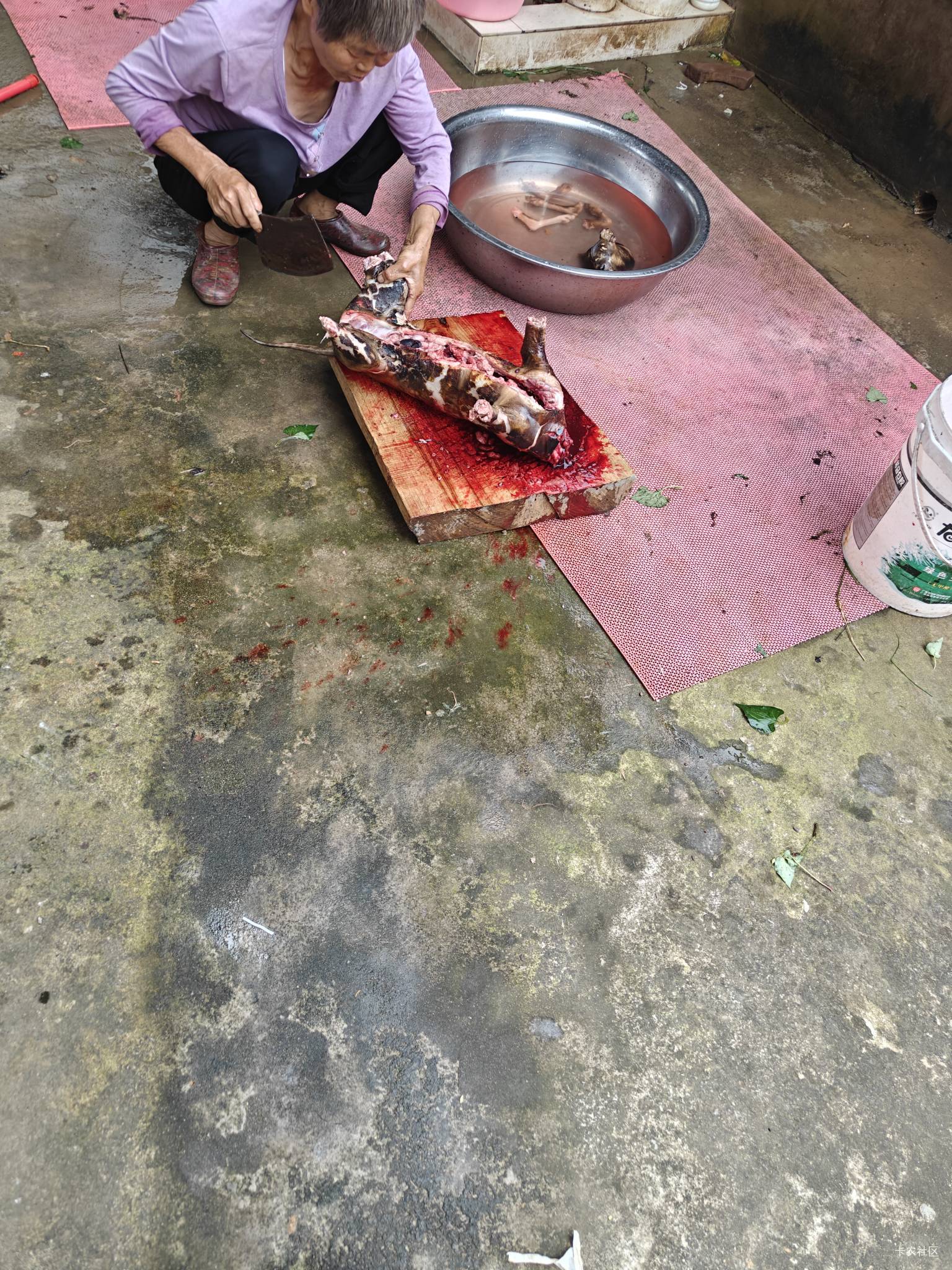 小时候看见别人吃狗肉很恶心，昨天再次看见村里的外地人在煞狗，真的太残忍了
89 / 作者:狠ghji / 