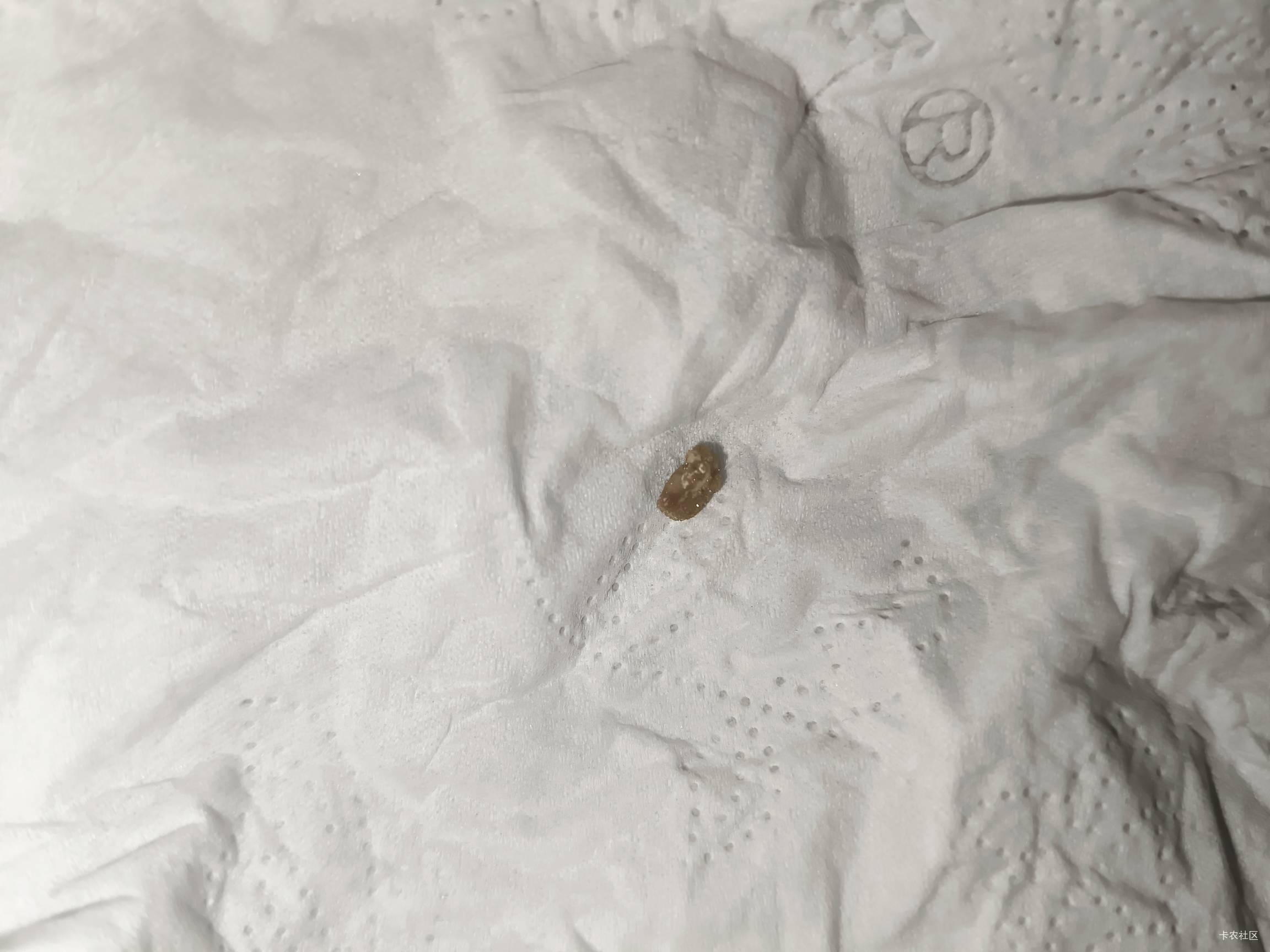  我去，刚刚尿了个人宝出来

98 / 作者:我呢我呢手机 / 
