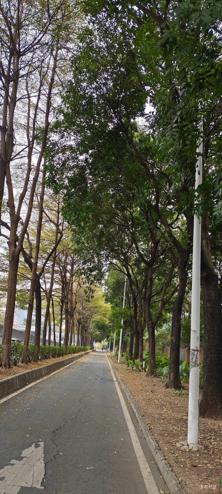宁夏积存金是这个月刚飞过去的都限卡吗？

16 / 作者:卡农豆包 / 