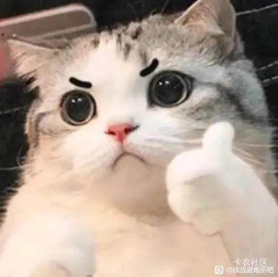 老哥们，二类电子建设卡开电子三类，咋把转进去呀
82 / 作者:小酒不醉 / 