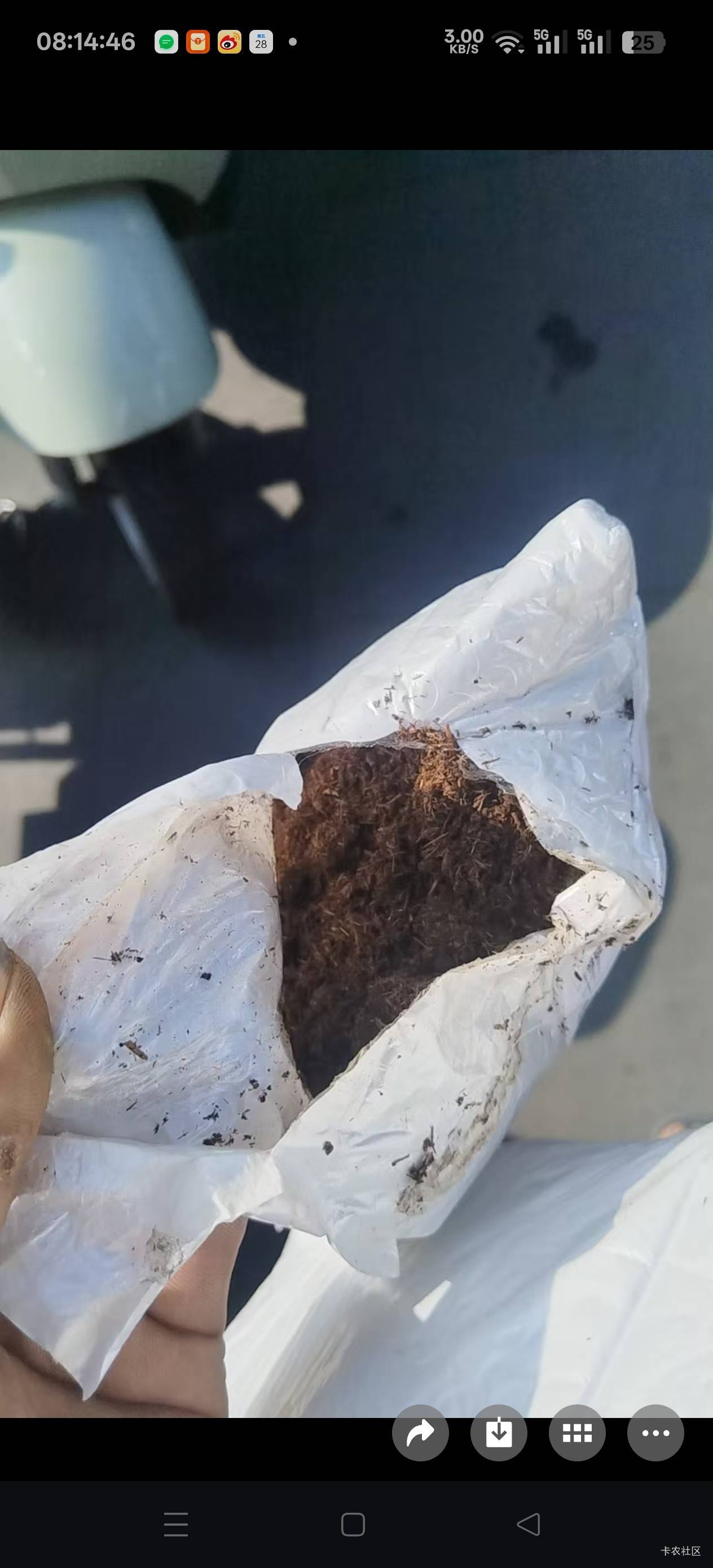 卖企鹅不小心用支付宝商家码收的几十块，对方通过那上面地址跟电话寄过来不知道啥东西94 / 作者:苦熬梁家河 / 