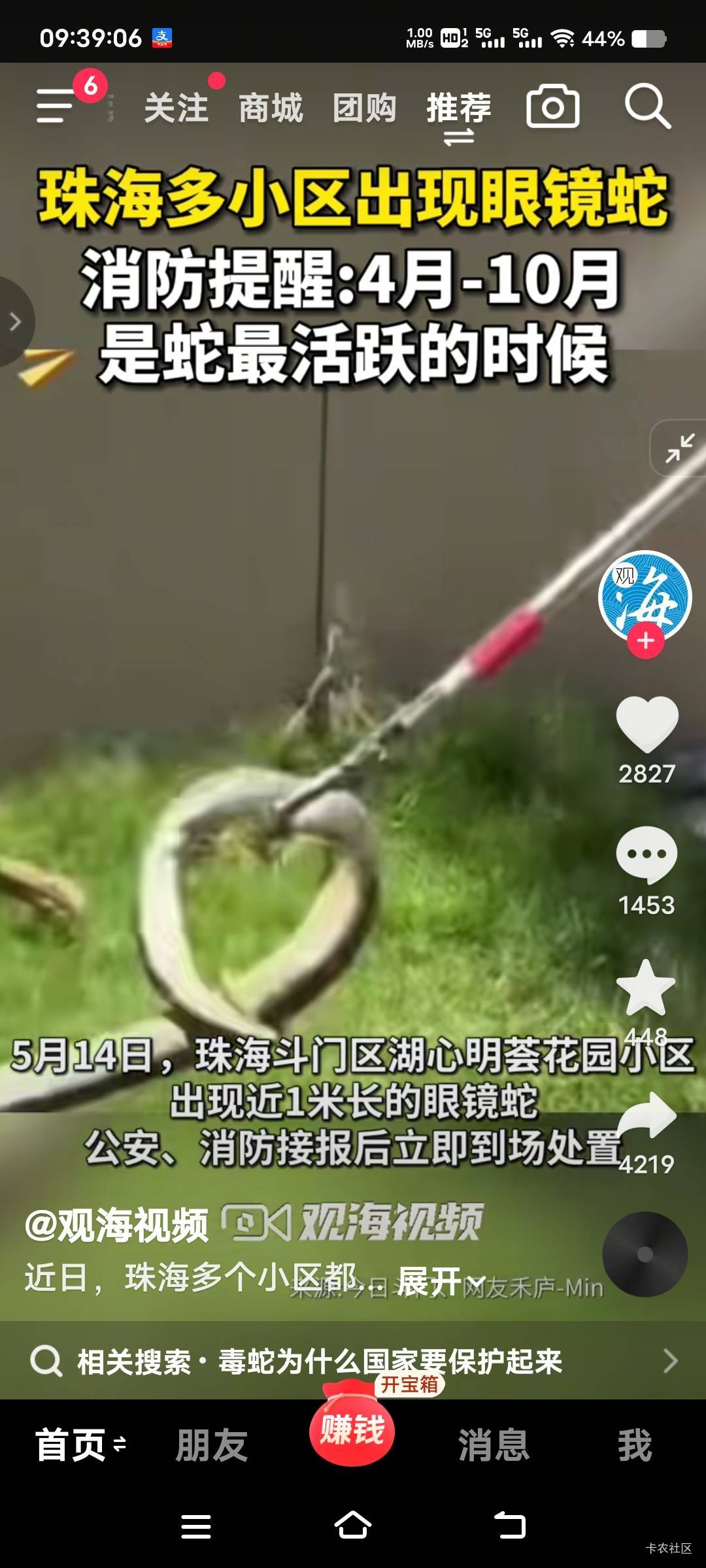 捅了蛇窝了，10个视频7个蛇，全特么在制造焦虑

47 / 作者:扛不住了老哥们 / 