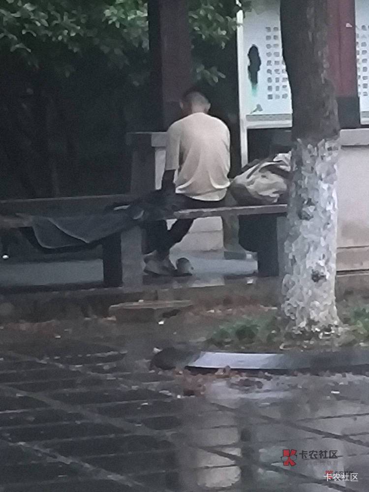 广州天气热的不行了啊，又要熬过没有空调的夏天。公园凉快，但是蚊子多

28 / 作者:桃园三坑刘阿满 / 