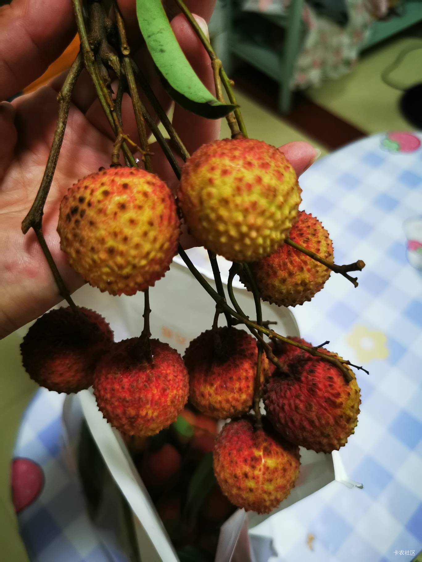 阿民提现密码输错，直接账号异常，:)

46 / 作者:卡卡卡卡夫 / 