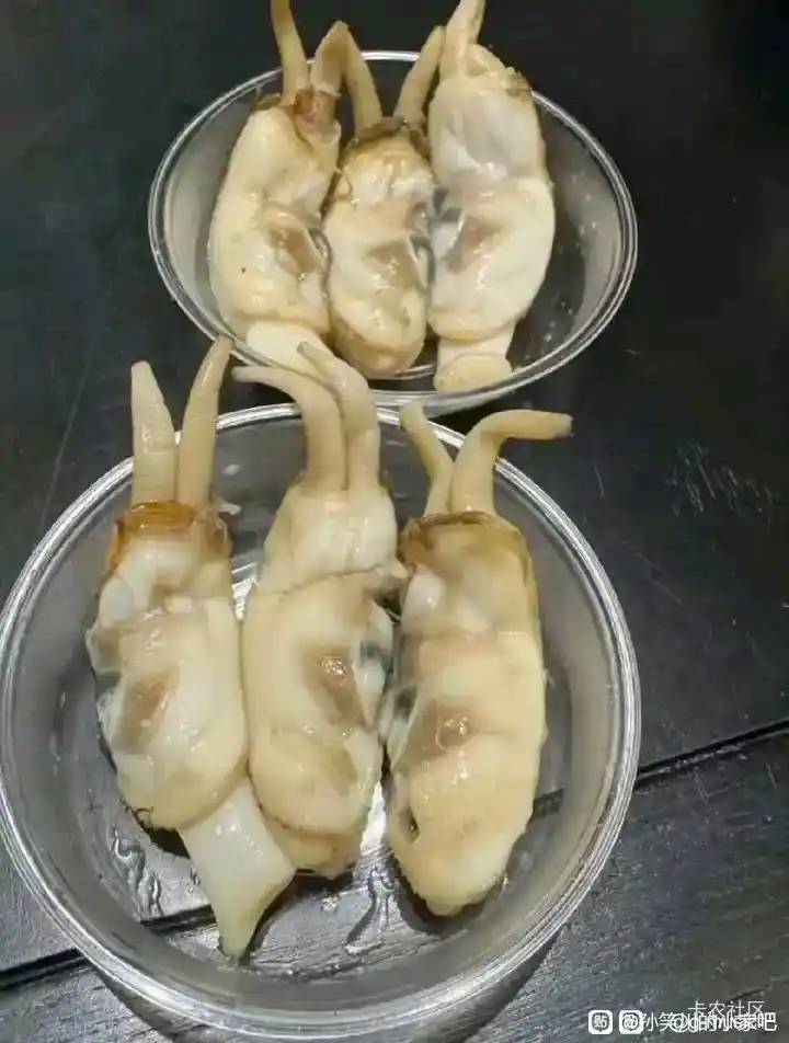 这个你们肯定吃不起

2 / 作者:好好做个卡农人 / 
